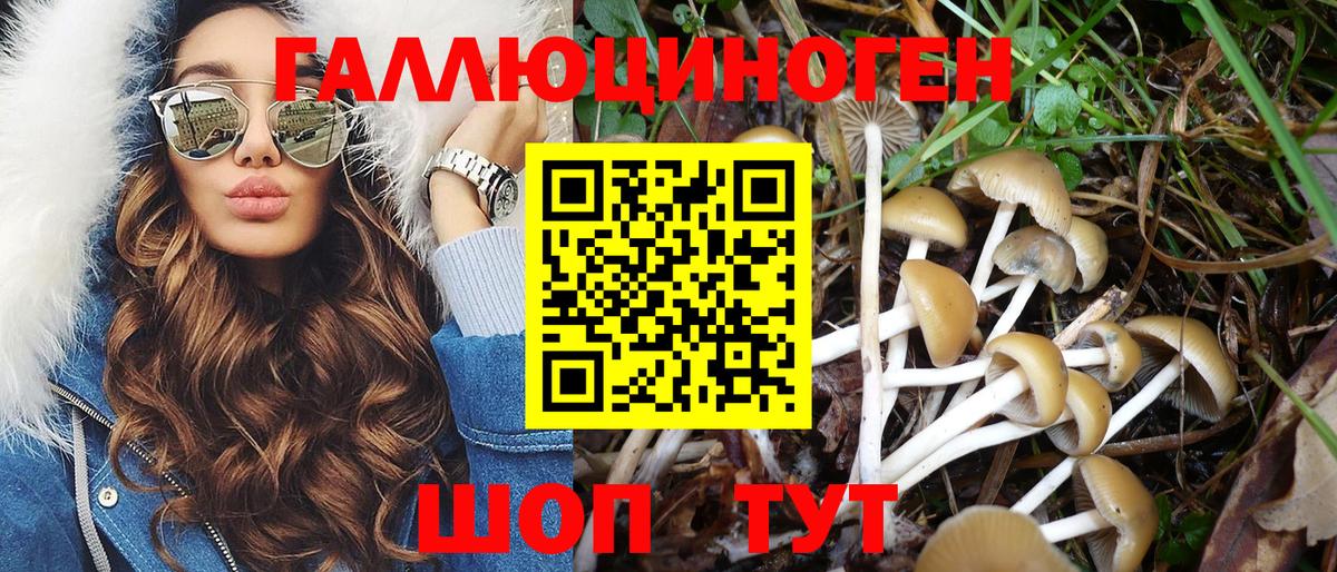 Галлюциногенные грибы Magic Shrooms  Галлюциногенные грибы ЛСД  где продают   Ишимбай 