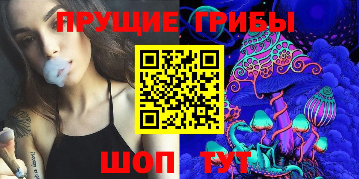 Псилоцибиновые грибы Cubensis Ишимбай