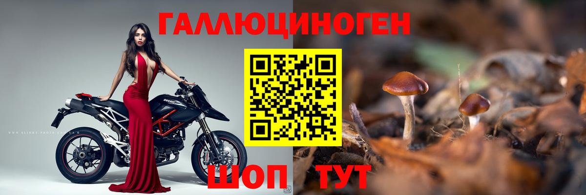 Галлюциногенные грибы Psilocybe  Вход с VPN  Ишимбай 