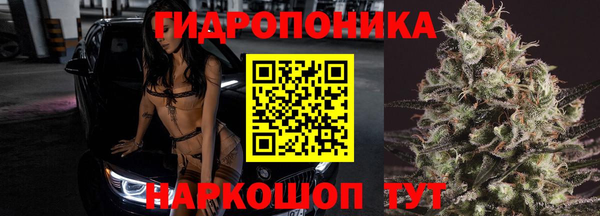 Бошки марихуана тримм  Шишки марихуана марихуана  МАРИХУАНА марихуана  Шишки марихуана Bruce Banner  Ишимбай 